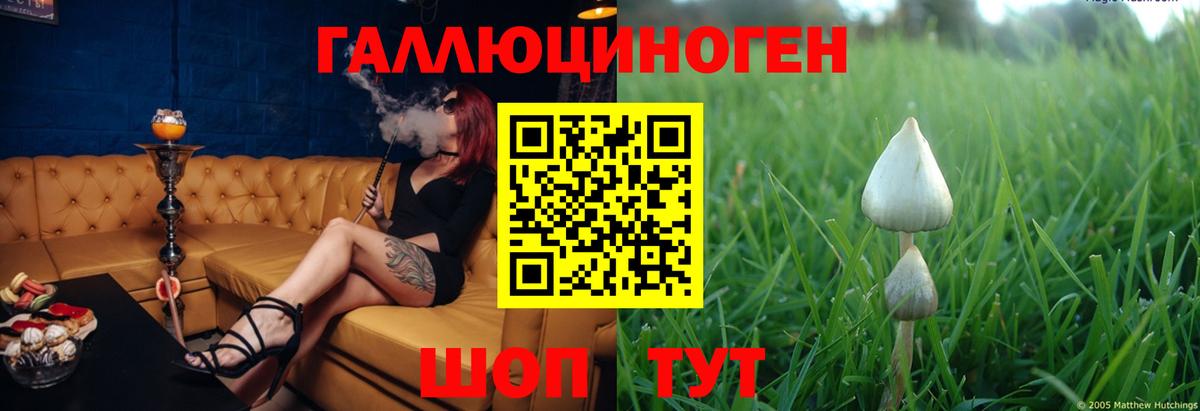 Псилоцибиновые грибы Magic Shrooms  Вход с VPN  Галлюциногенные грибы Cubensis  Тобольск 